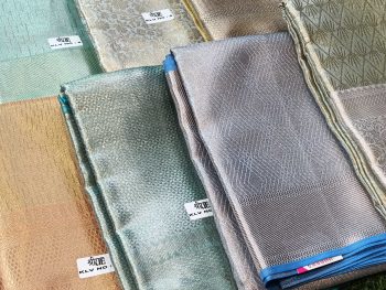 Jyothika inspiration Tissue Saree