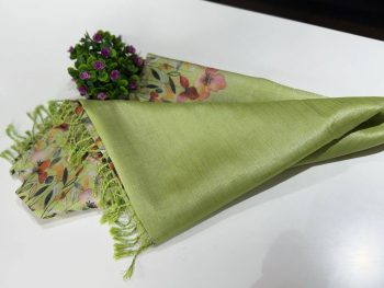 Tissue Saree
