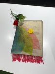 Tissue Saree